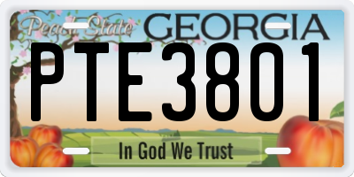 GA license plate PTE3801