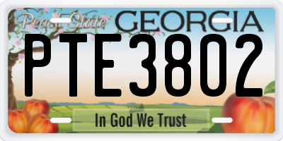 GA license plate PTE3802