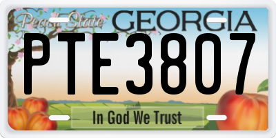 GA license plate PTE3807