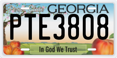 GA license plate PTE3808