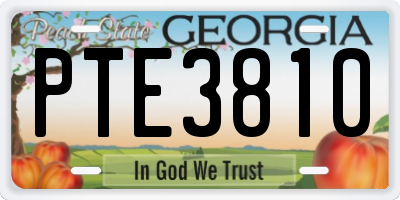 GA license plate PTE3810
