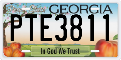 GA license plate PTE3811