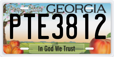 GA license plate PTE3812