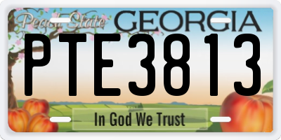 GA license plate PTE3813