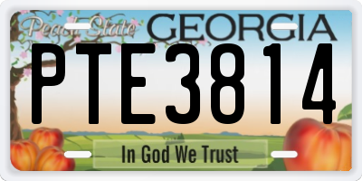 GA license plate PTE3814