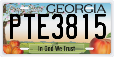 GA license plate PTE3815