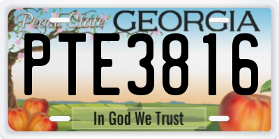 GA license plate PTE3816