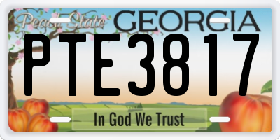 GA license plate PTE3817