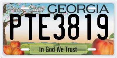 GA license plate PTE3819