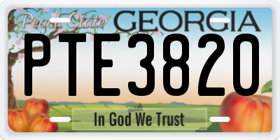 GA license plate PTE3820