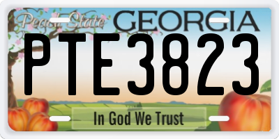 GA license plate PTE3823