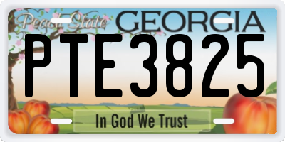 GA license plate PTE3825