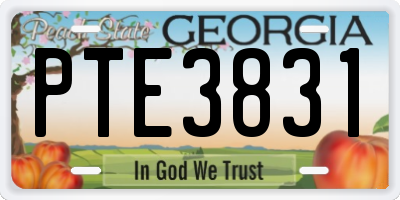 GA license plate PTE3831