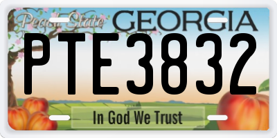 GA license plate PTE3832