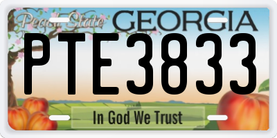 GA license plate PTE3833