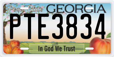 GA license plate PTE3834