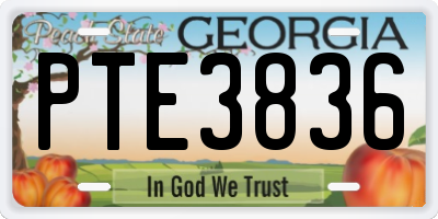GA license plate PTE3836