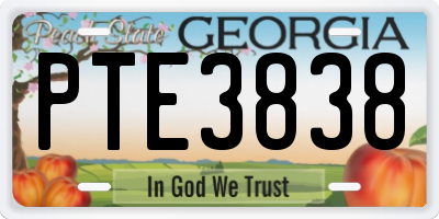GA license plate PTE3838