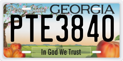 GA license plate PTE3840