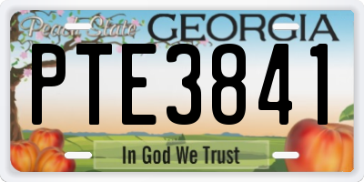 GA license plate PTE3841