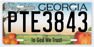 GA license plate PTE3843