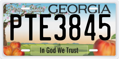 GA license plate PTE3845