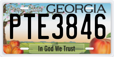 GA license plate PTE3846