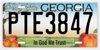 GA license plate PTE3847