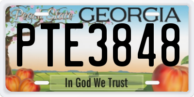 GA license plate PTE3848