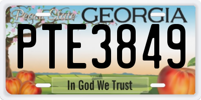 GA license plate PTE3849