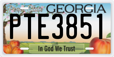 GA license plate PTE3851