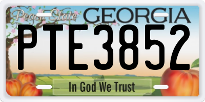 GA license plate PTE3852