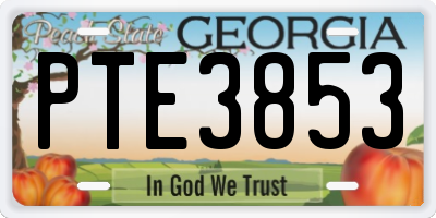 GA license plate PTE3853