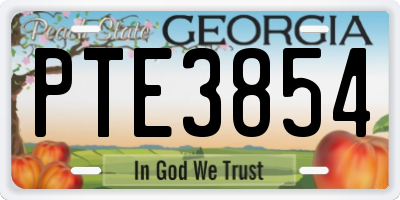 GA license plate PTE3854