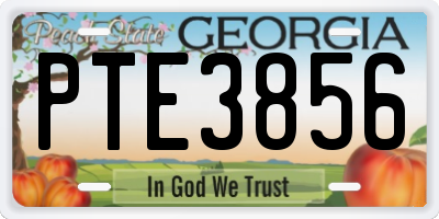 GA license plate PTE3856