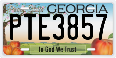 GA license plate PTE3857
