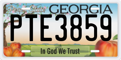 GA license plate PTE3859