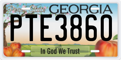 GA license plate PTE3860