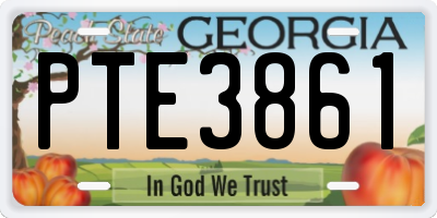 GA license plate PTE3861
