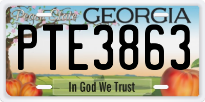 GA license plate PTE3863