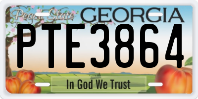 GA license plate PTE3864