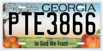 GA license plate PTE3866