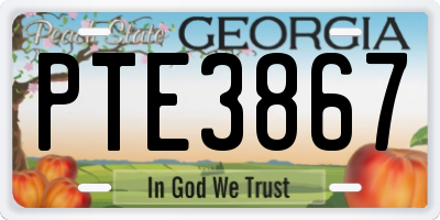 GA license plate PTE3867