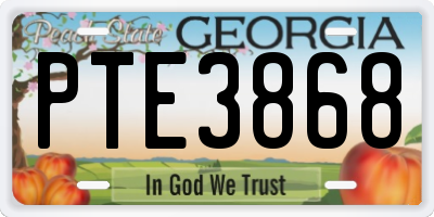 GA license plate PTE3868