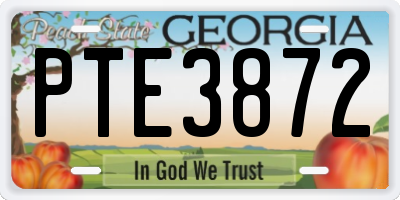 GA license plate PTE3872