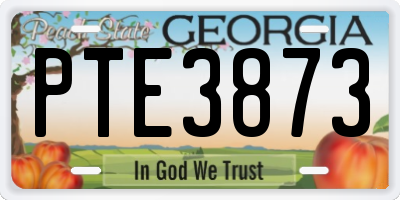 GA license plate PTE3873