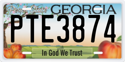 GA license plate PTE3874