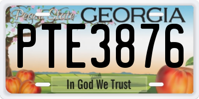 GA license plate PTE3876