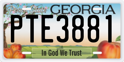GA license plate PTE3881