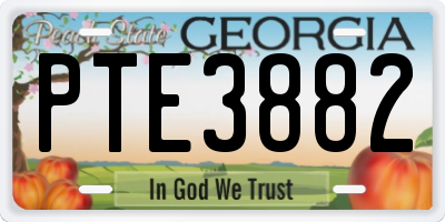 GA license plate PTE3882